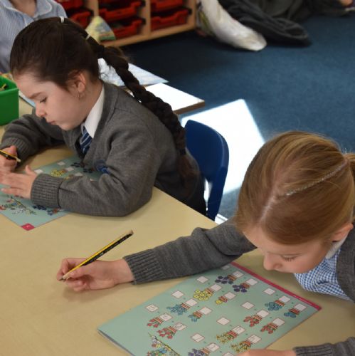 P1 Mathematicians