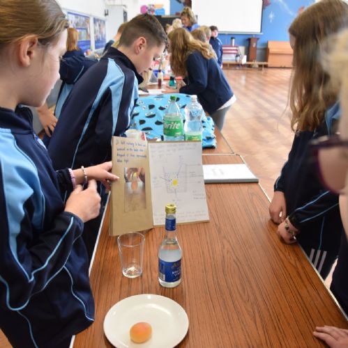 P6 Science Fair