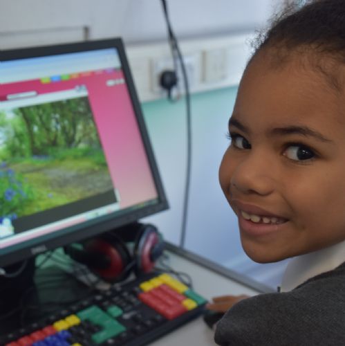 Rainforest Animators