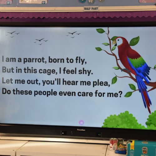 Parrot Poetry