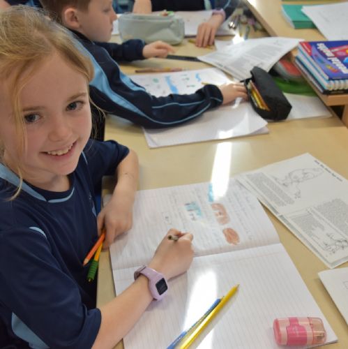 Early Man Comprehension