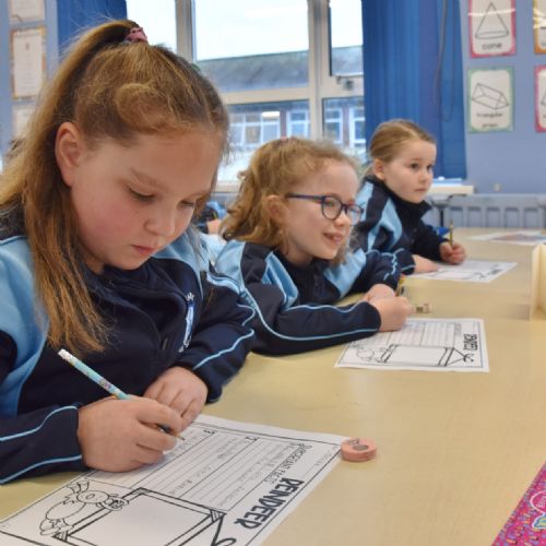 P4 Reindeer Fact Finders