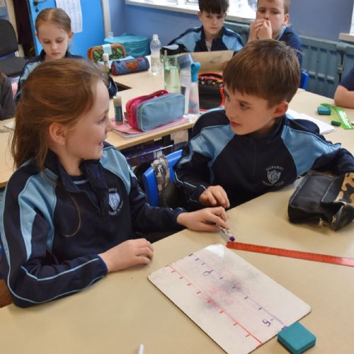 Positive and Negative Numbers