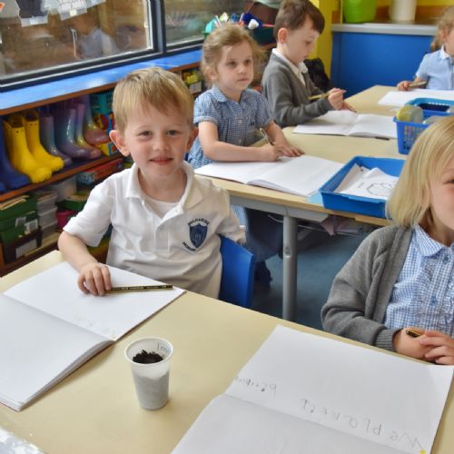 Writing About Our Beanstalks
