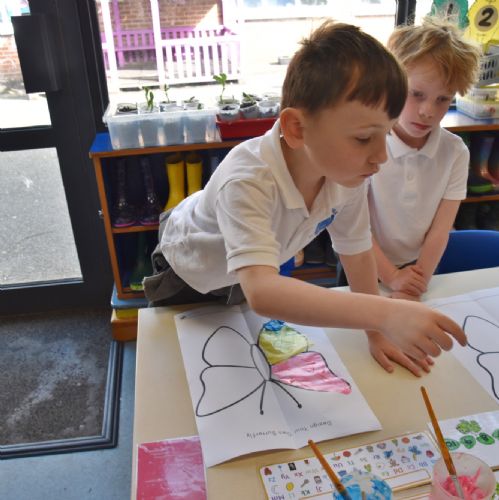 P1 Design their own Butterflies