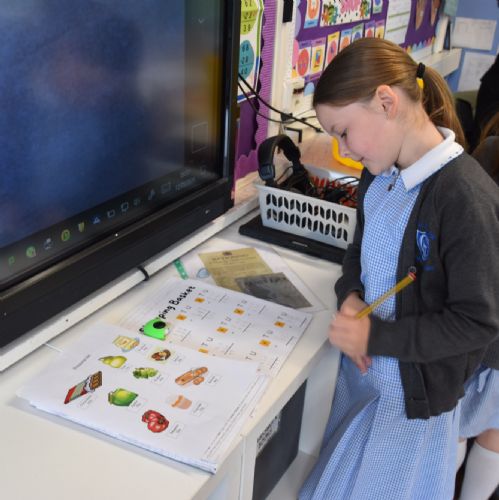 P4 Shopping Basket