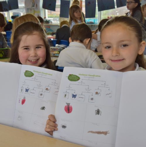 Minibeast Classification