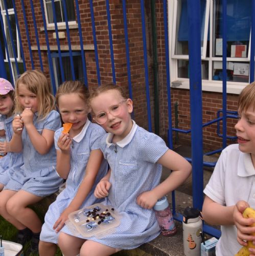 Picnic Break in P2