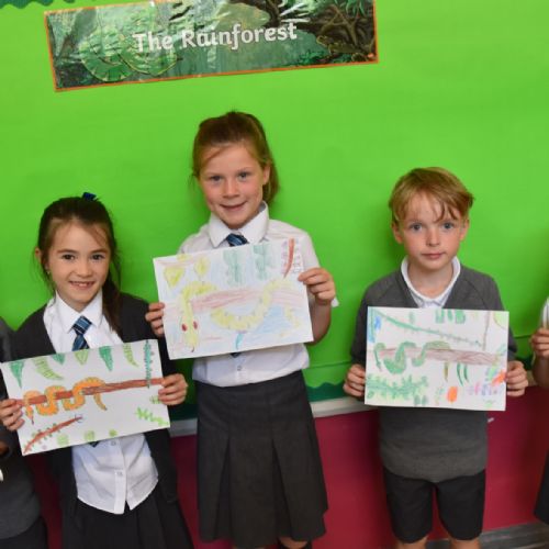 Our Rainforest Snakes