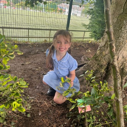 P4 Exploring   Camouflage Outdoors