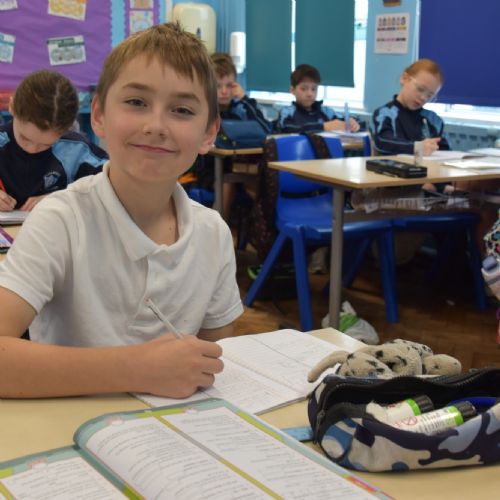 P6 Busy Bees